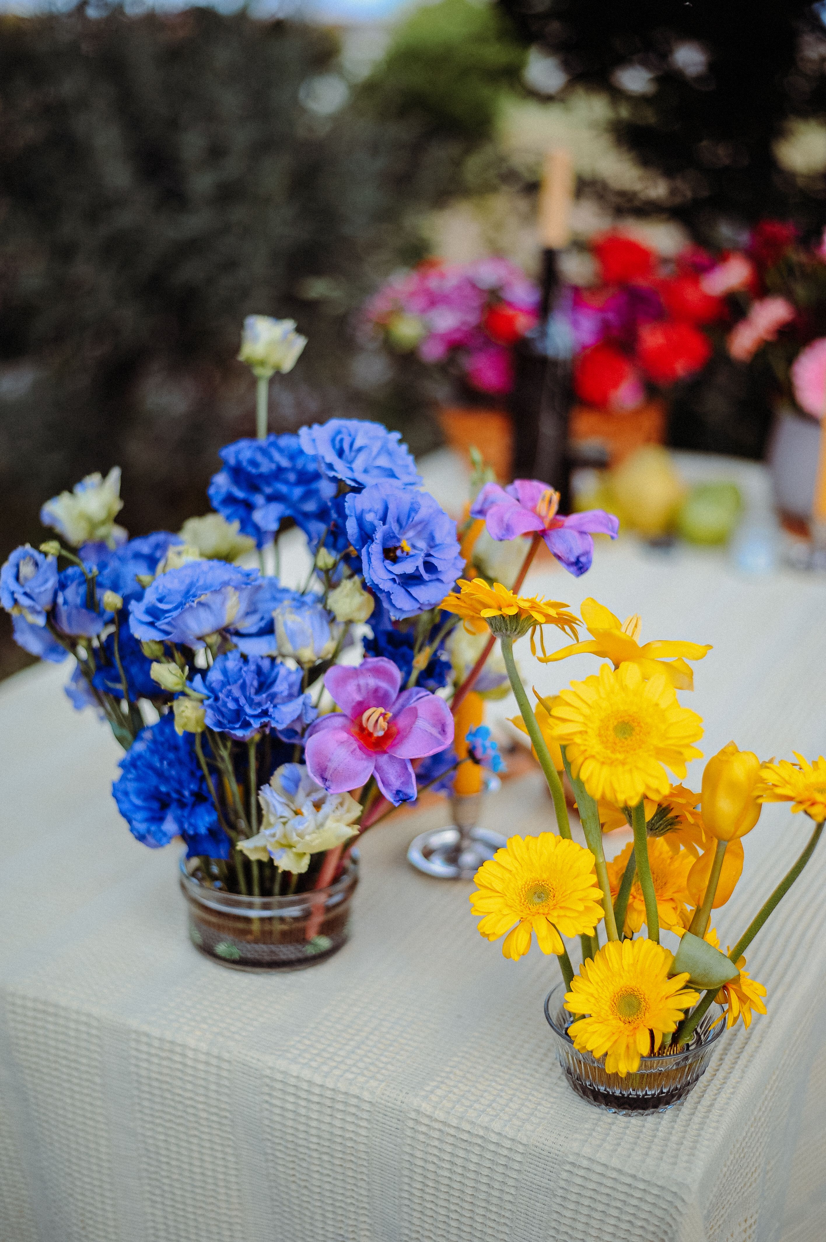 [ColoSach]-vibrant-blue-and-yellow-flowers-in-glass-vases-on-a-textured-outdoor-table.