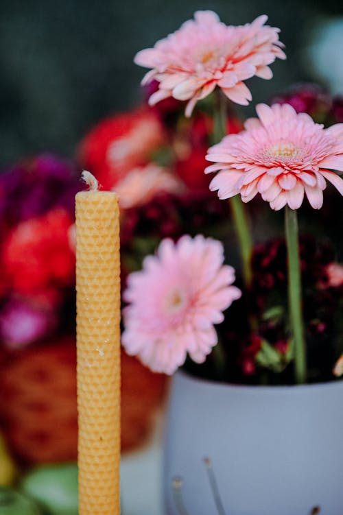 Flowers in a Vase and a Candle 