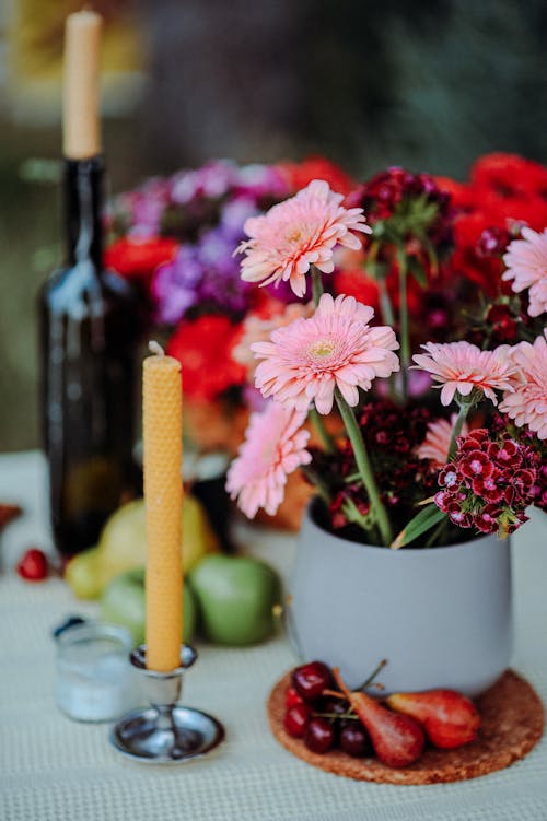 Základová fotografie zdarma na téma čerstvý, detail, gerbera