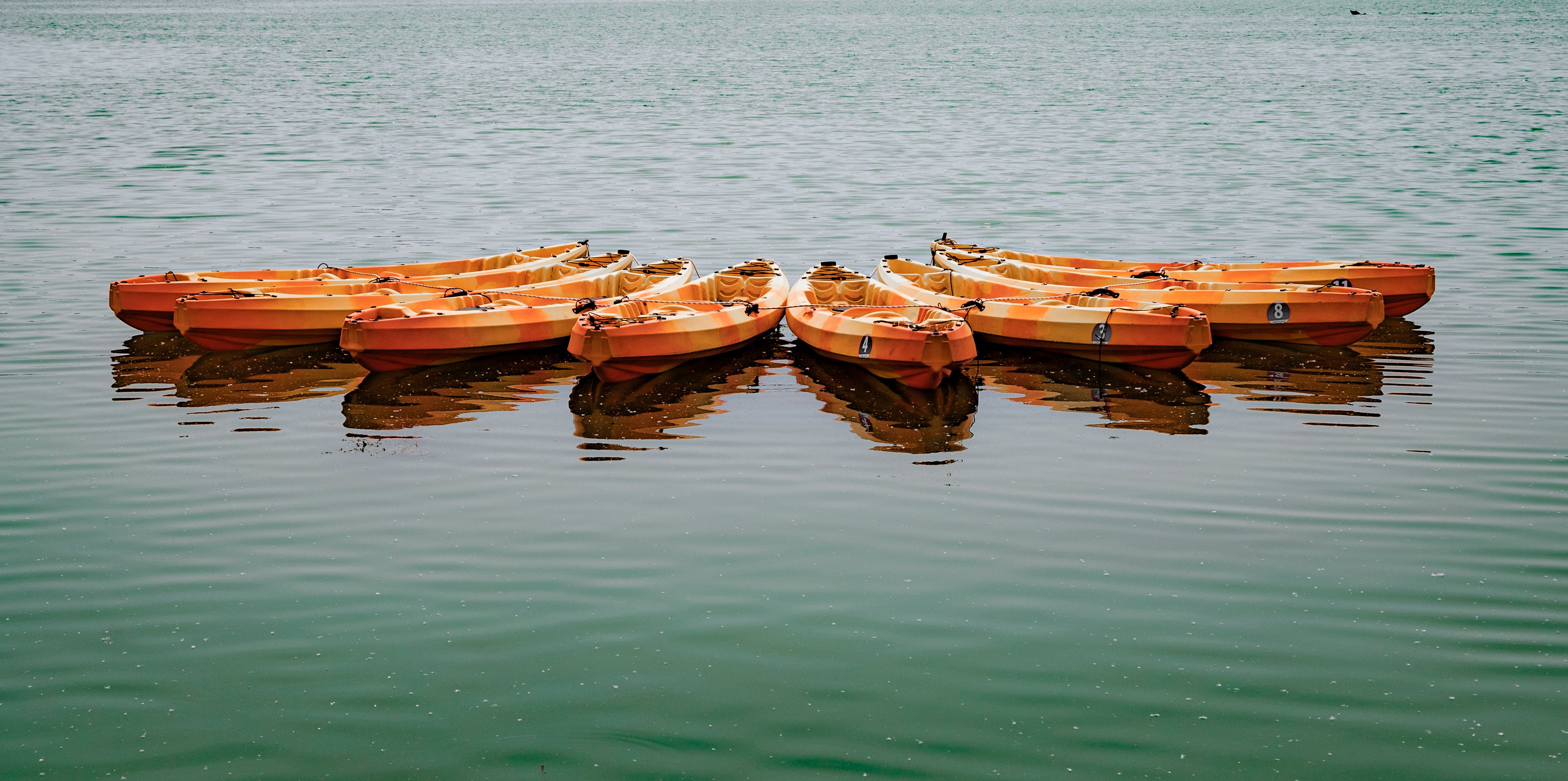 A group of orange canoes tied together on calm water reflecting the serene environment.