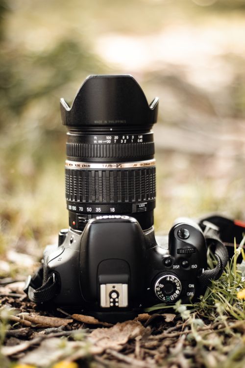 Free stock photo of 18-200mm, 600d, canon Stock Photo