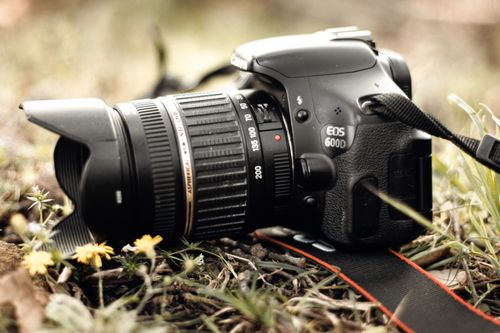 Free stock photo of 18-200mm, 600d, canon Stock Photo