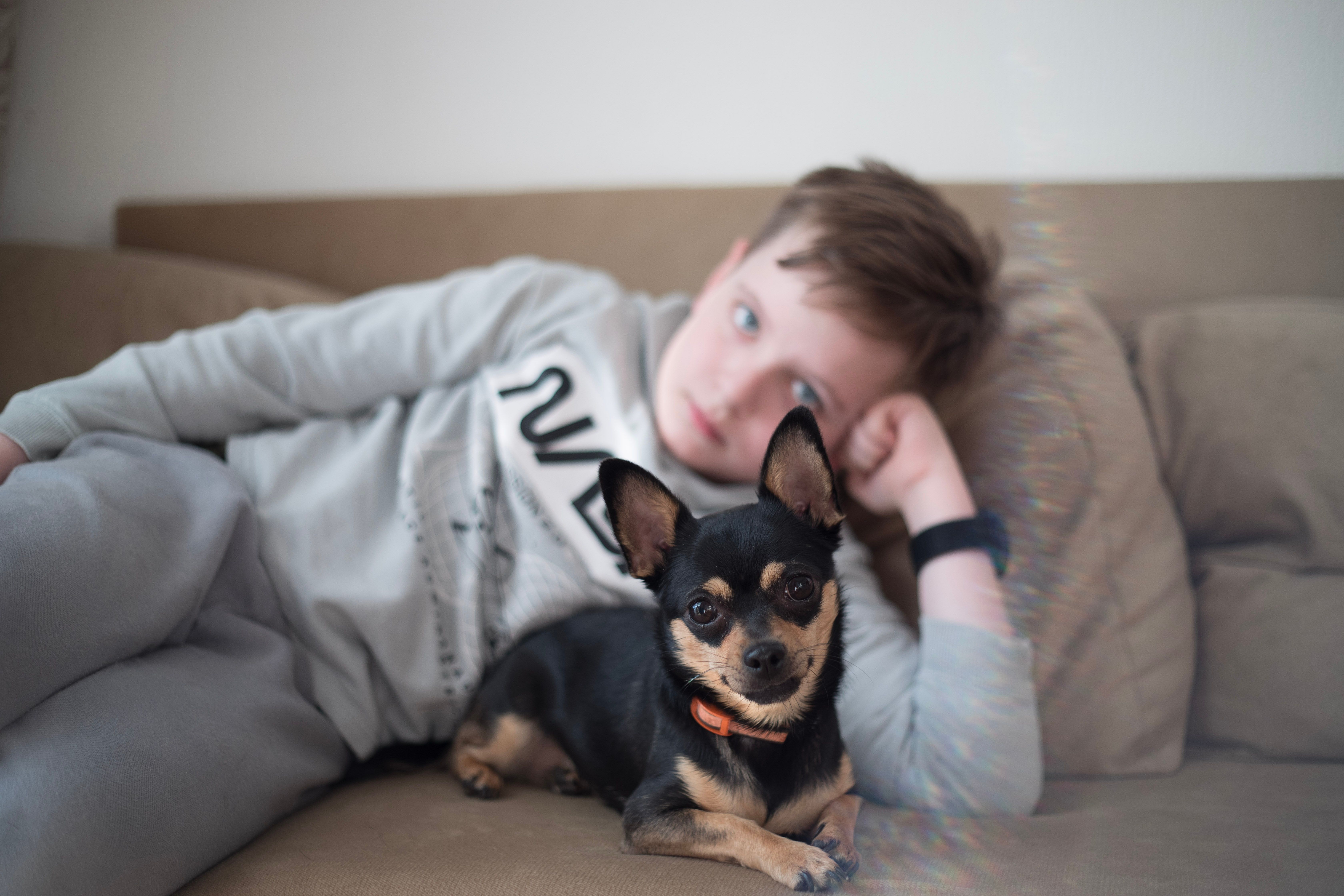 Child sitting calmly beside a family dog on a sofa