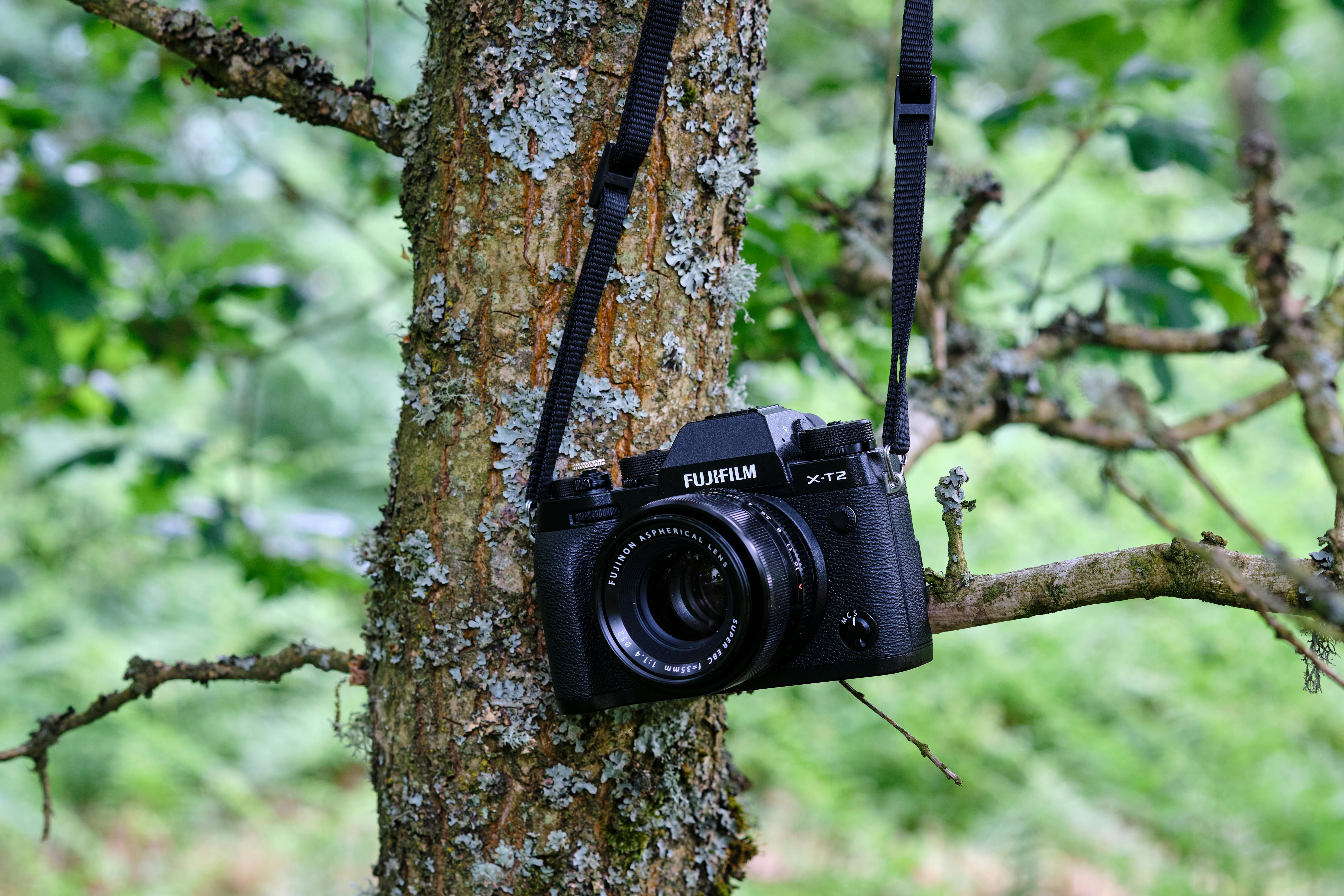I tested the Fujifilm X-T30 III, and it made everyday photography feel creative again — Photo by Rodion Kutsaiev on Pexels