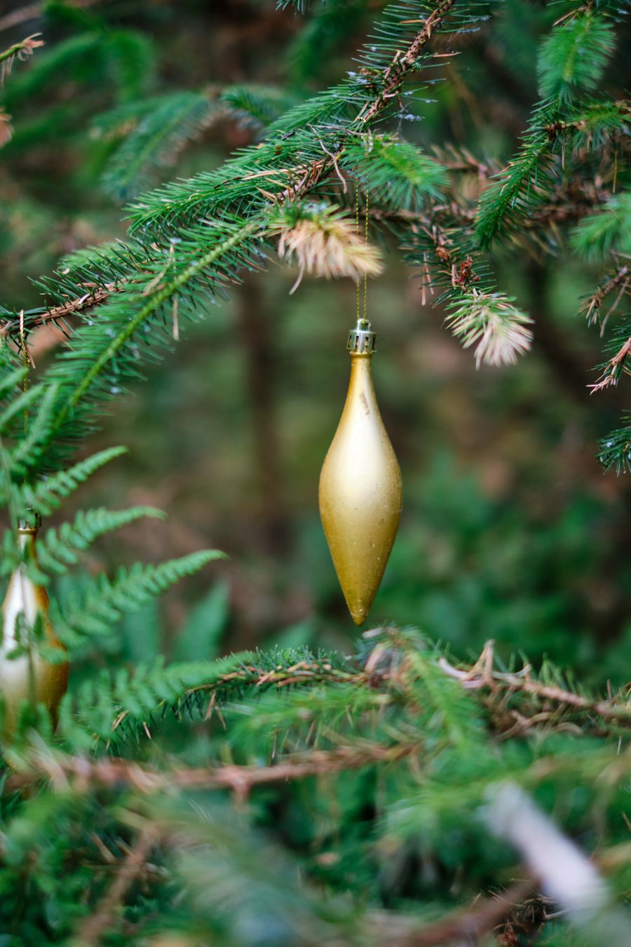 Amber teardrop glass ornament hanging from a fir branch — photo Rodion Kutsaiev on Pexels
