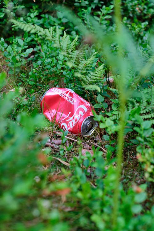 Coca Cola Can on Ground