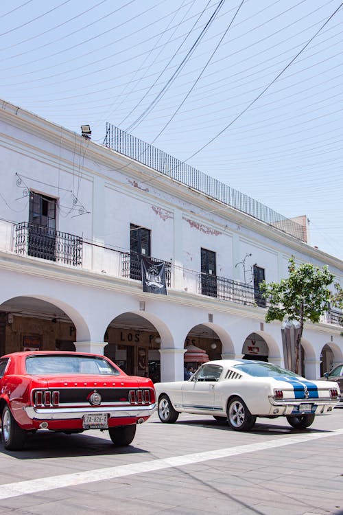 Vintage Ford Mustang Cars Parked at a White Building