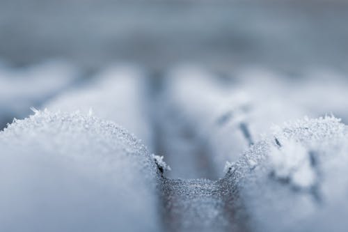 Základová fotografie zdarma na téma hloubka ostrosti, led, mráz