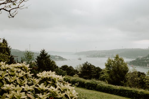 hindi, istambul, koyu yeşil içeren Ücretsiz stok fotoğraf