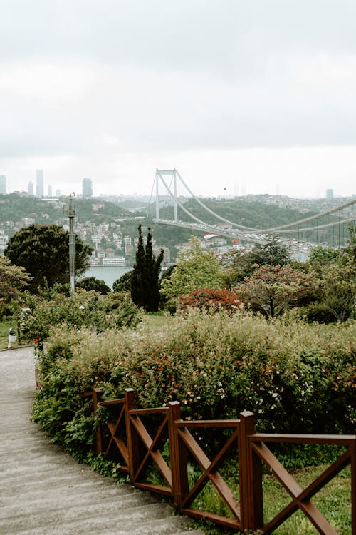 Ảnh lưu trữ miễn phí về cầu bosphorus, gà tây, Istanbul