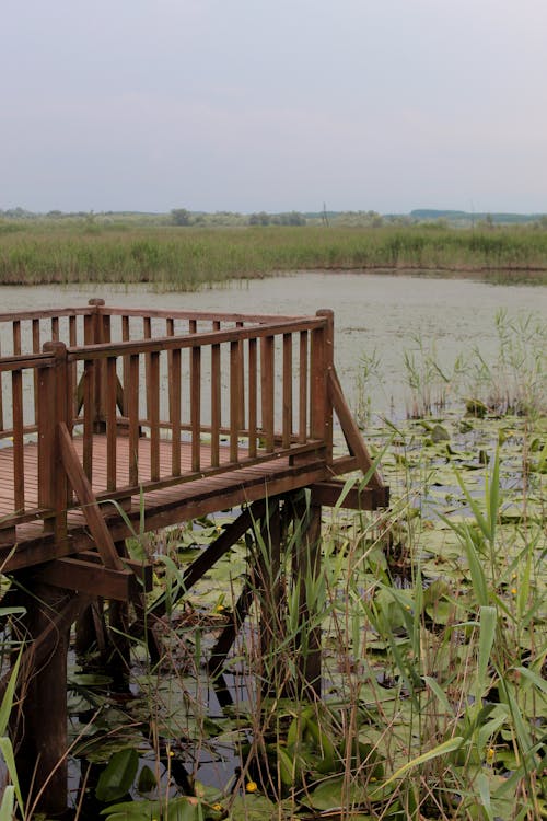 Pier on Lake