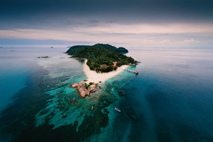 Forest And Beach On Tropical Island