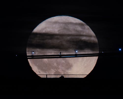 Foto profissional grátis de lua de morango
