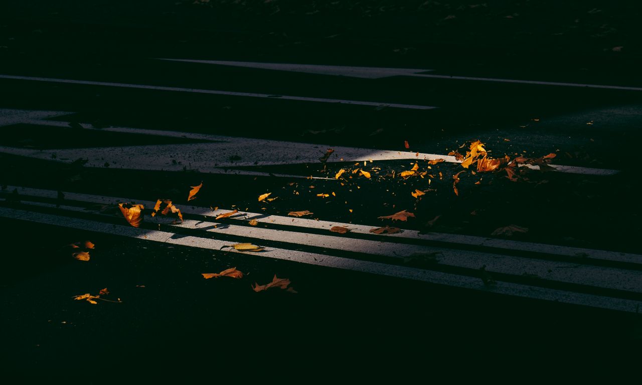 sunlight highlights fallen autumn leaves on a dark street moody and ar