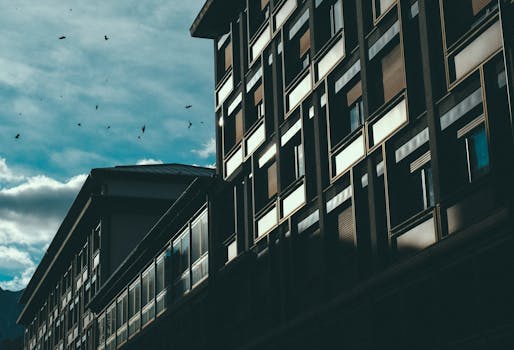 低角度拍摄的现代建筑立面，与多云天空中飞行的鸟形成对比