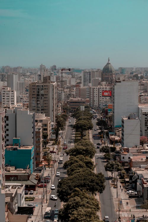 Foto d'estoc gratuïta de arbres, ciutat, ciutats