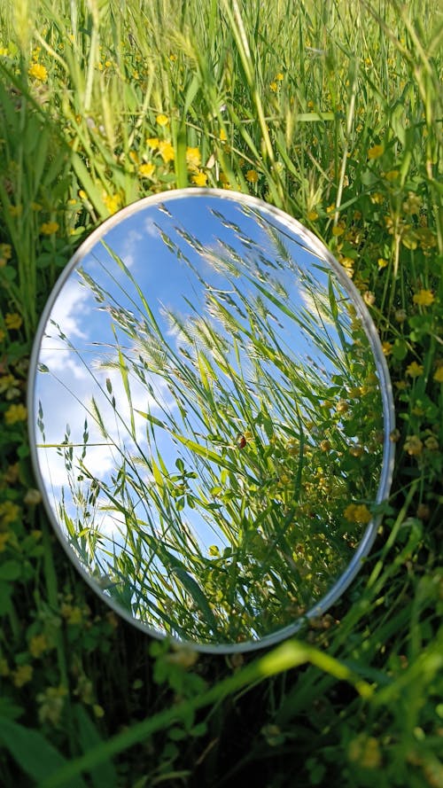 Close-up of a Round Mirror on the Grass Reflecting the Grass and Blue Sky 