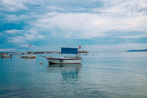 Foto d'estoc gratuïta de blau, calma, Costa