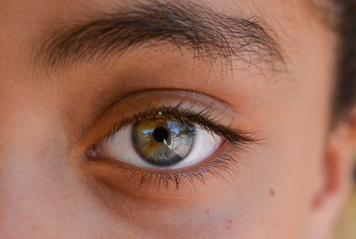 Free Detailed close-up of an eye with diverse reflections, brown iris, and well-defined eyebrow. Stock Photo