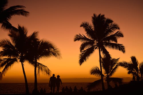 Безкоштовне стокове фото на тему «берег, відпустка, жовте небо»