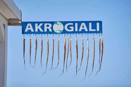 Dried octopus tentacles hanging from a blue Akrogiali sign against a clear sky.