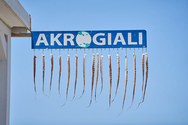 Fish Hanging From A Store Sign