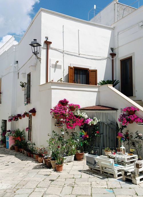 Free Explore a vibrant sunlit courtyard with blooming flowers in Mottola, Puglia, Italy. Stock Photo