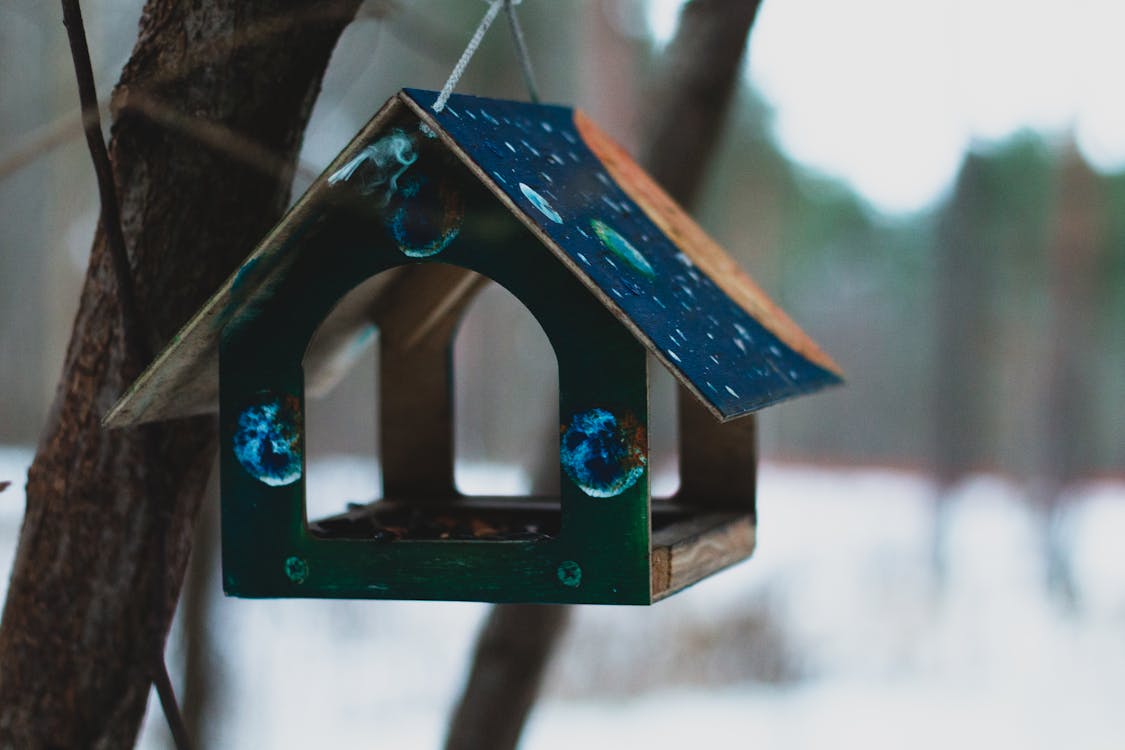 Selective Focus Photography of Blue Wooden Birdhouse