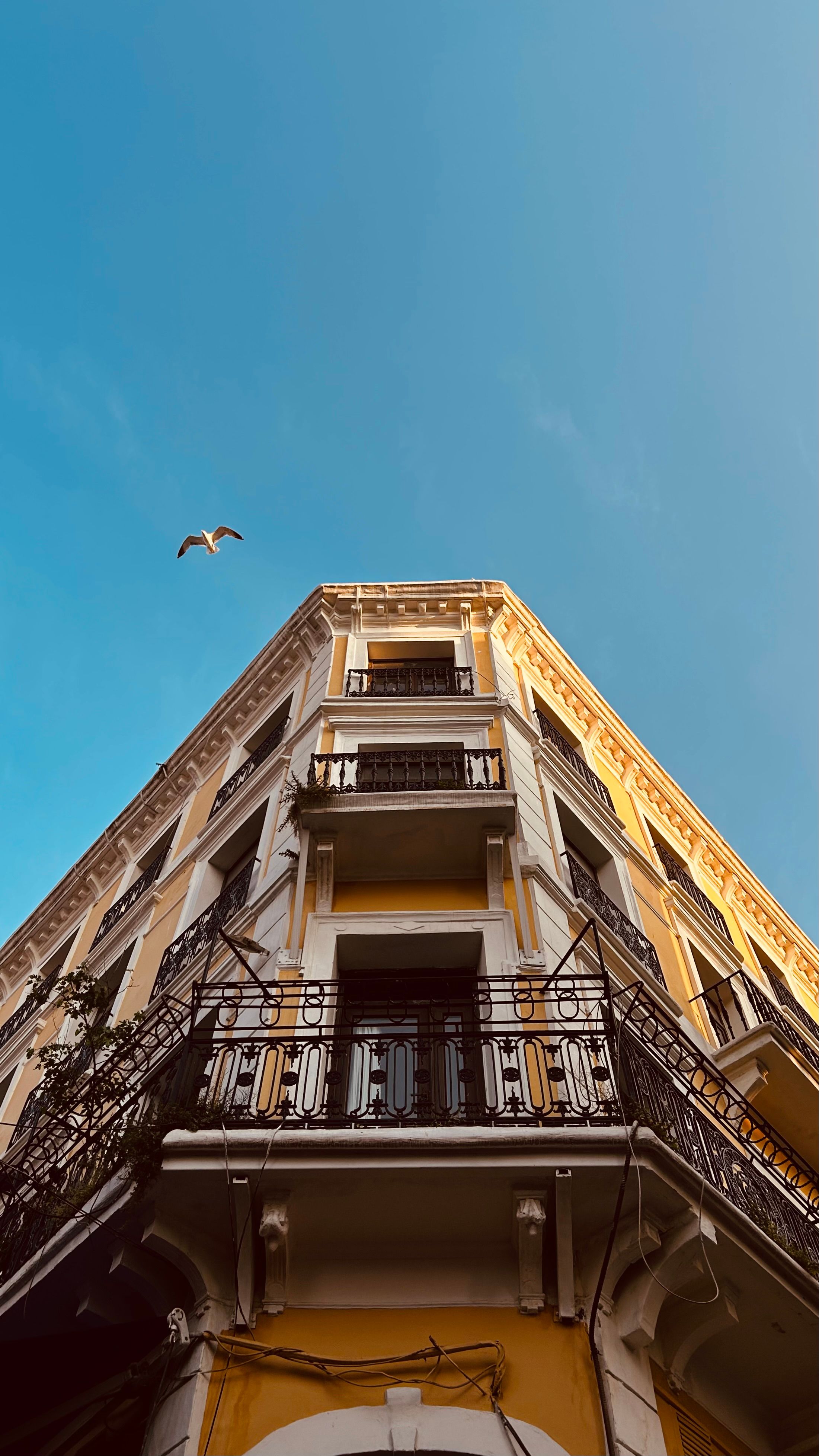 Low Angle Shot of a Traditional Building under a Clear Blue Sky · Free ...