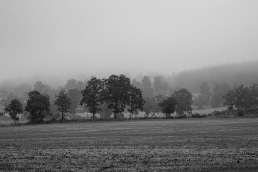 Black and white image of a misty rural field with distant trees and fog.