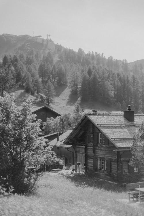 Village Houses in Countryside in Black and White