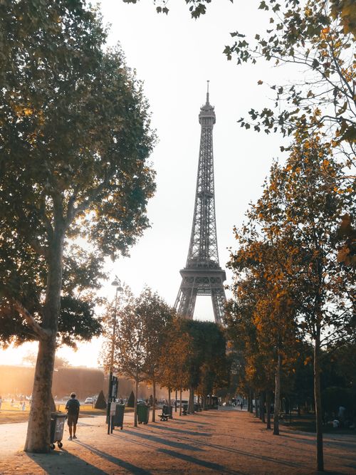 Free The iconic Eiffel Tower viewed from a Paris park during a colorful autumn sunset. Stock Photo