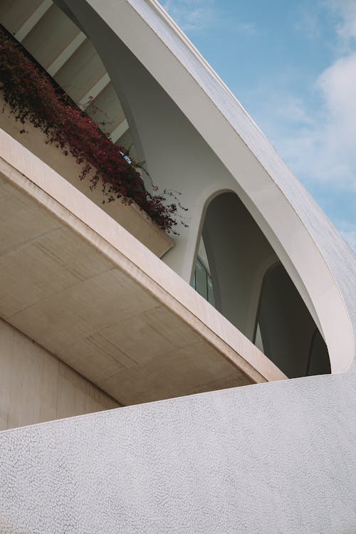 Detail of the Architecture of the Opera House in Valencia