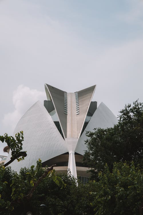 Foto profissional grátis de árvores, cidade das artes e das ciências, Espanha