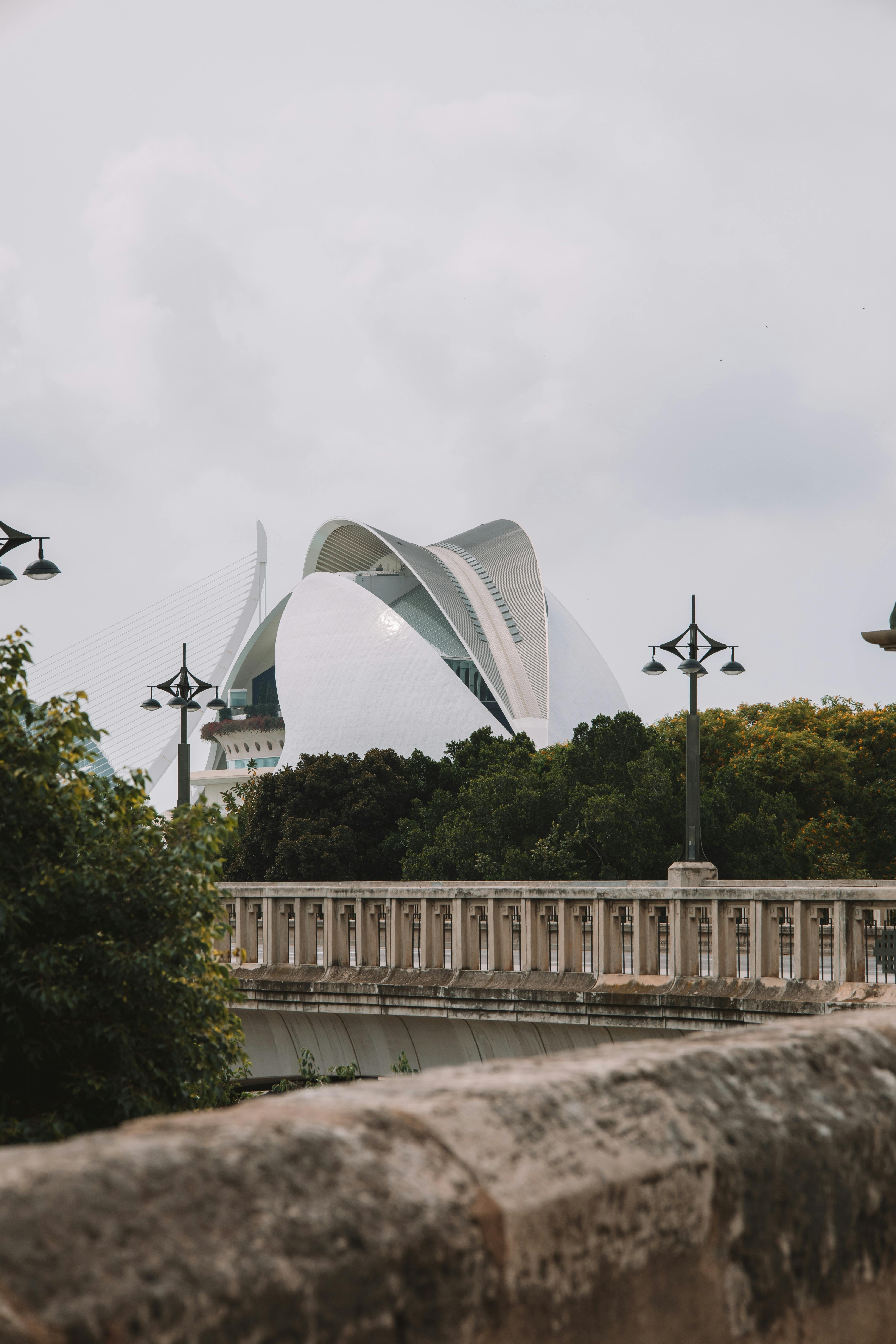 Camiseta mujer real madrid