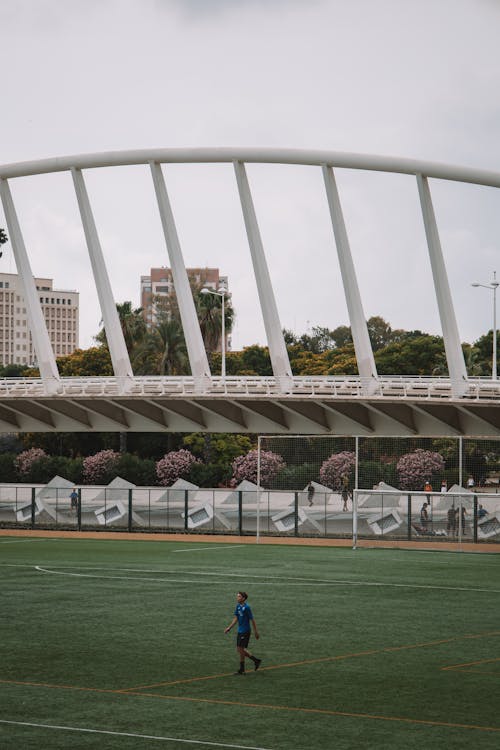 Soccer Field in City of Arts and Sciences, Valencia