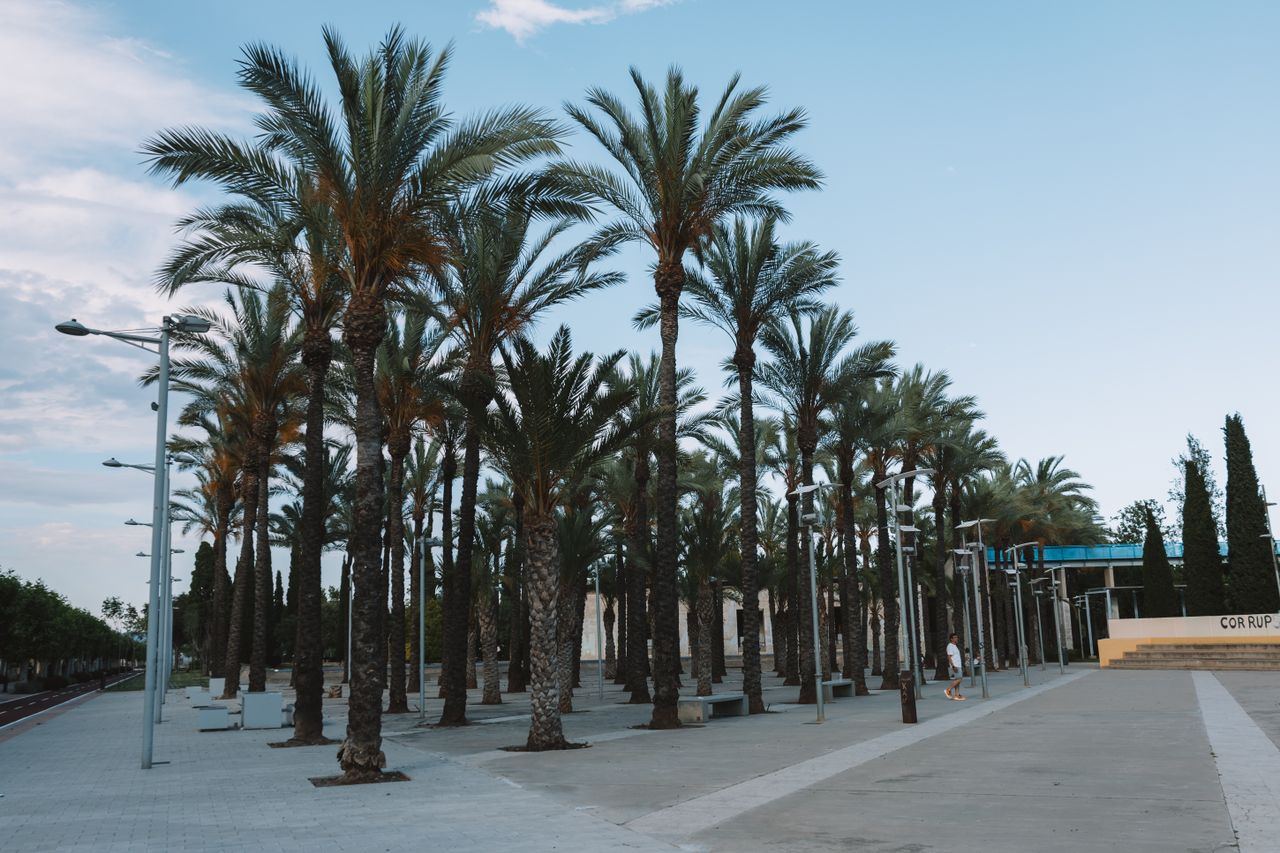 Solo medium-paced Valencia trip