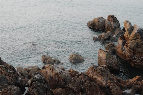 Foto profissional grátis de beira-mar, corroído, formações rochosas