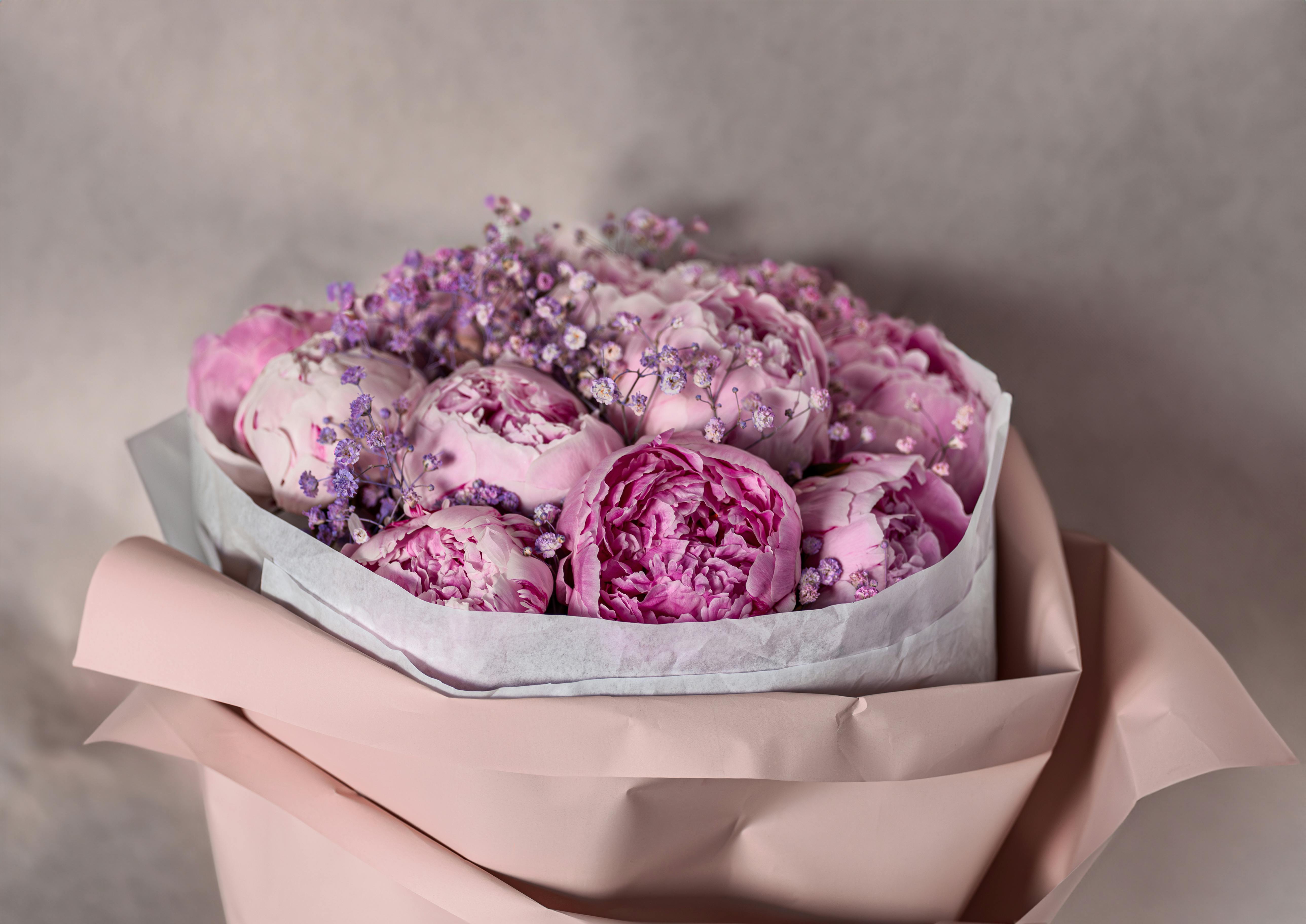 Pink Peonies Flowers