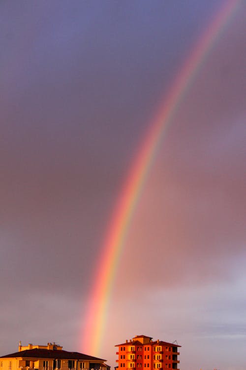 Fotos de stock gratuitas de arco iris, Bloque de pisos, colorido