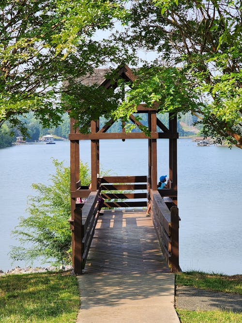 公園, 垂直拍摄, 夏天 的 免费素材图片