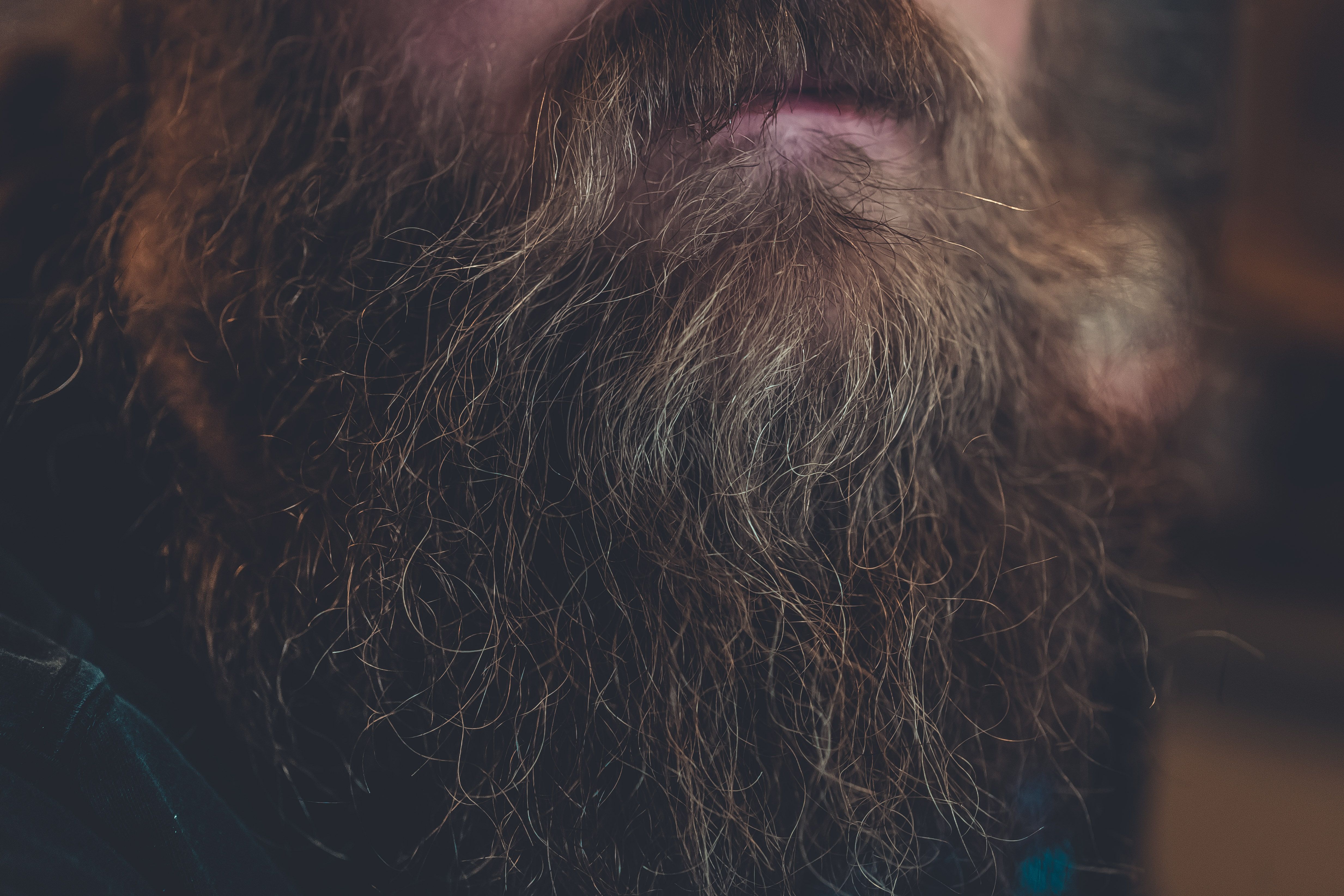 Beard Texture Photos, Download The BEST Free Beard Texture Stock Photos ...