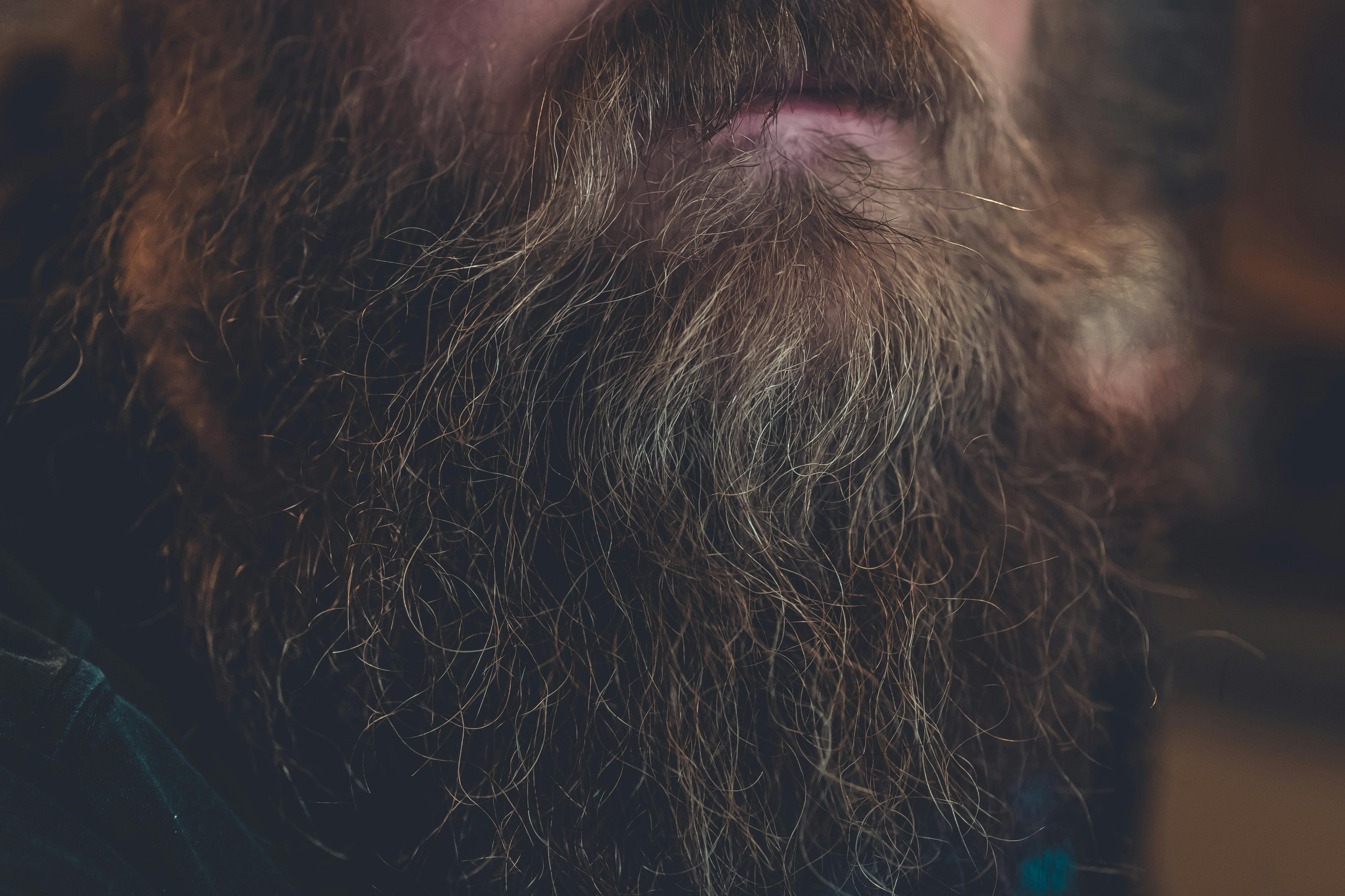 Free stock photo of adult, beard, blur
