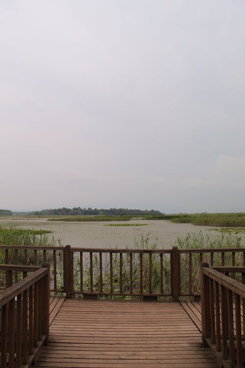 Wooden Jetty Over the Lake Overgrown with Rushes