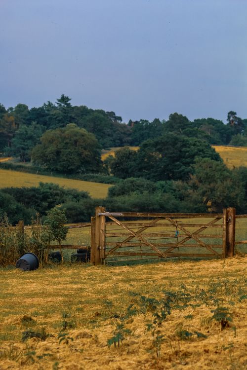 Free Scenic rural landscape with a wooden gate in summer, Guildford, UK. Stock Photo