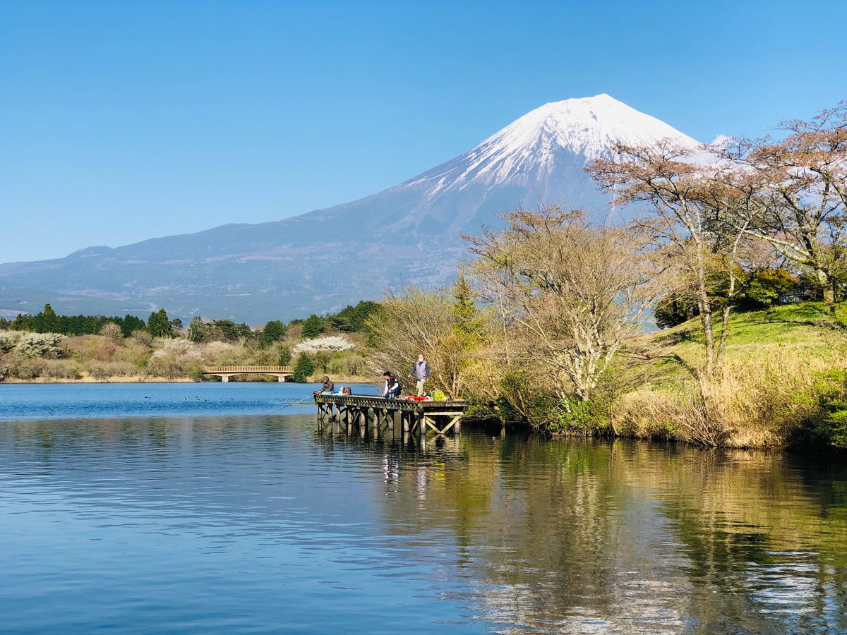 Wooden pier on a still mountain lake with Mount Fuji rising above forested hills in the Fuji Five Lakes area