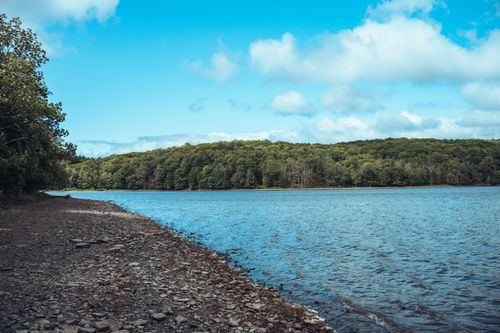 Free Peaceful view of a rocky lakeshore surrounded by lush forest under a clear blue sky. Stock Photo