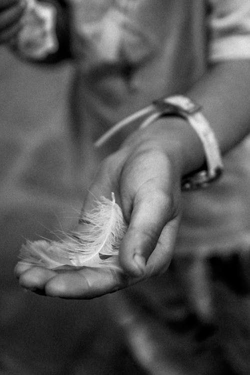 Close-up of Hand Holding Feather