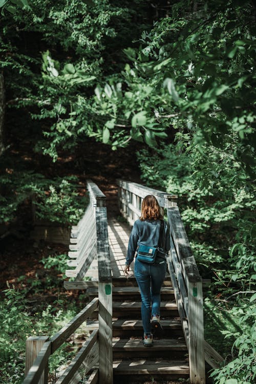 Brunette Woman in Jeans Walking Through Wooden Bridge in Forest