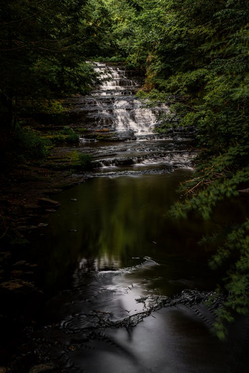 Waterfall in Forest